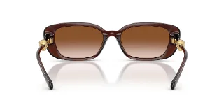 Versace Sunglasses VE4504D