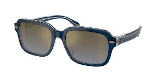 Coach Sunglasses HC8388U