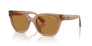 839673 Shiny Transparent Brown