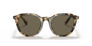 Coach Sunglasses HC8339U