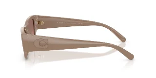Coach Sunglasses HC8470D