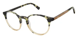 GRN Green Tortoise