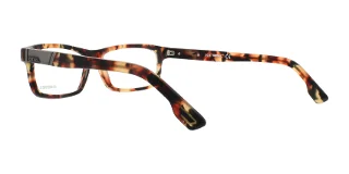 Diesel Eyeglasses DL5090