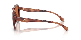 Coach Sunglasses HC8406U