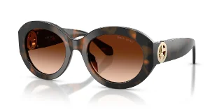 647874 Brown Tortoise