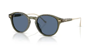 584880 Transparent Olive
