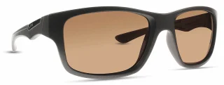 INVU Sunglasses INVU-126