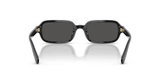 Coach Sunglasses HC8465U