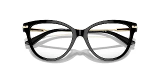 Jimmy Choo Eyeglasses JC3001B