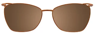Easyclip Eyeglasses EC407