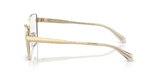 Michael Kors Eyeglasses MK3085