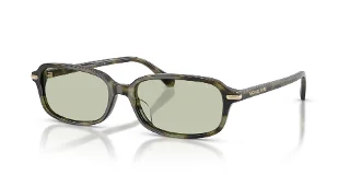 3947/2 Sage Tortoise