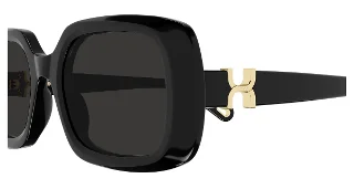 Chloe Sunglasses CH0333S