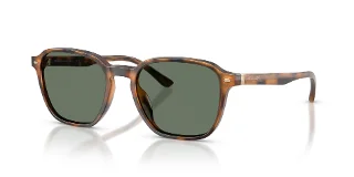 61613H Warm Tortoise