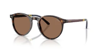 500373 Shiny Dark Havana