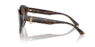 Jimmy Choo Sunglasses JC5007F
