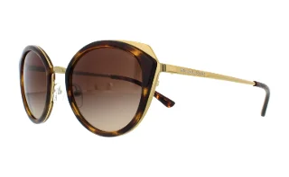 116813 Shiny Pale Gold/Dark Tort