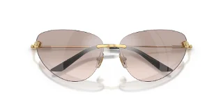 Versace Sunglasses VE2281