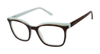 TOR Tortoise