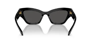Swarovski Sunglasses SK6021