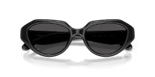 Coach Sunglasses HC8433U