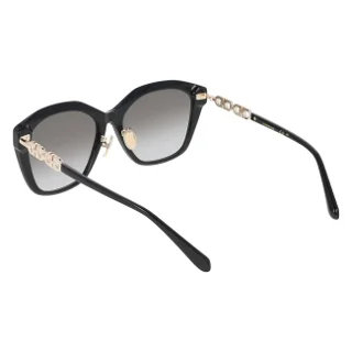 Salvatore Ferragamo Sunglasses SF2116SLB