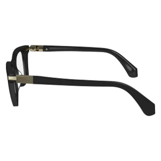 Salvatore Ferragamo Eyeglasses SF2973