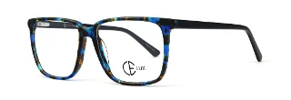 17  BLUE DEM