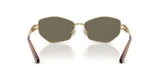 Dolce & Gabbana Sunglasses DG2338