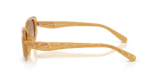 Coach Sunglasses HC8443D