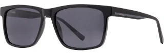 C02 Black/Gray