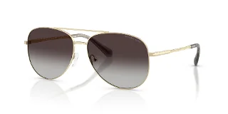 Michael Kors Sunglasses MK1172