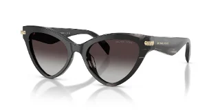 40348G Black Horn