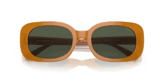 Coach Sunglasses HC8358F