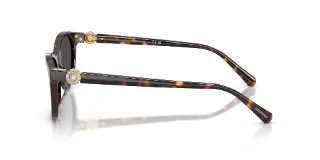 Swarovski Sunglasses SK6070