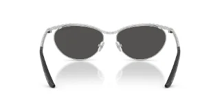Swarovski Sunglasses SK7046