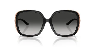 Coach Sunglasses HC8423U