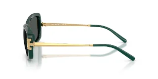 Tory Burch Sunglasses TY9077U