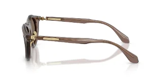 Giorgio Armani Sunglasses AR8258