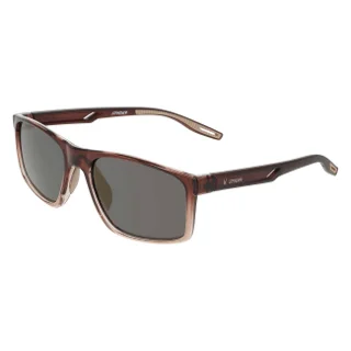 210 Brown Gradient