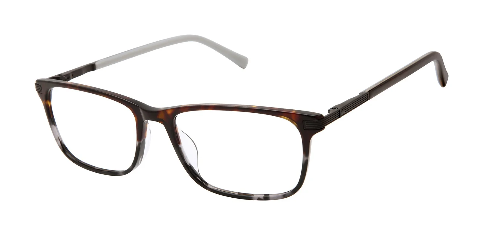 Ted Baker Eyeglasses TFM017