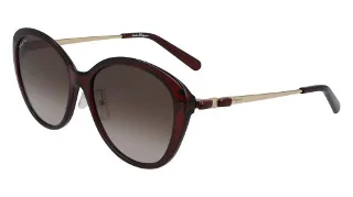 Salvatore Ferragamo Sunglasses SF973SA