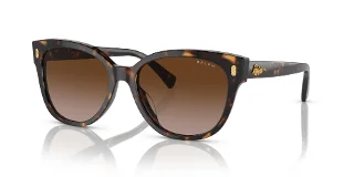 500313 Black Havana