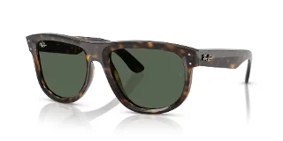 Ray Ban Sunglasses RBR0501S