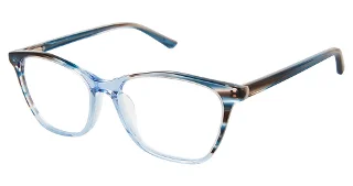 C03 Blue Brown