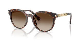 300613 Dark Tortoise