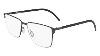 Flexon Eyeglasses B2076