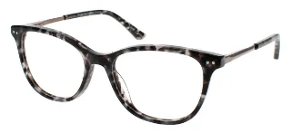 Black Tortoise
