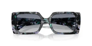 Coach Sunglasses HC8409U
