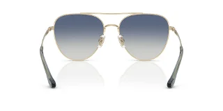 Coach Sunglasses HC7182